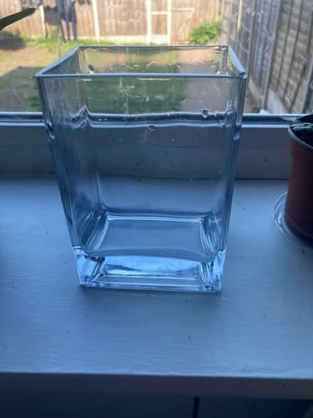 Photo of free Lucky bamboo (Beaconside ST16) #2