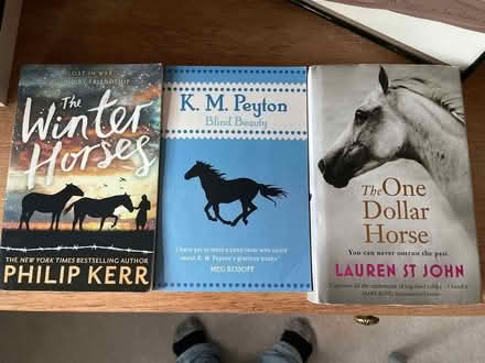 Photo of free Books for teens (Northlands Wood) #1