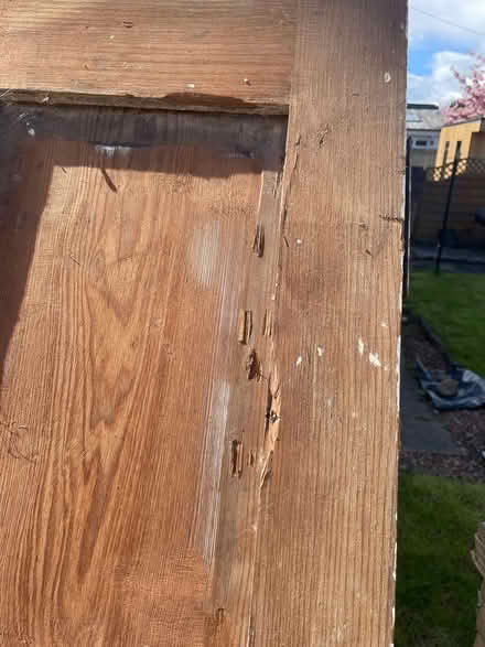 Photo of free Old internal door (G73) #2
