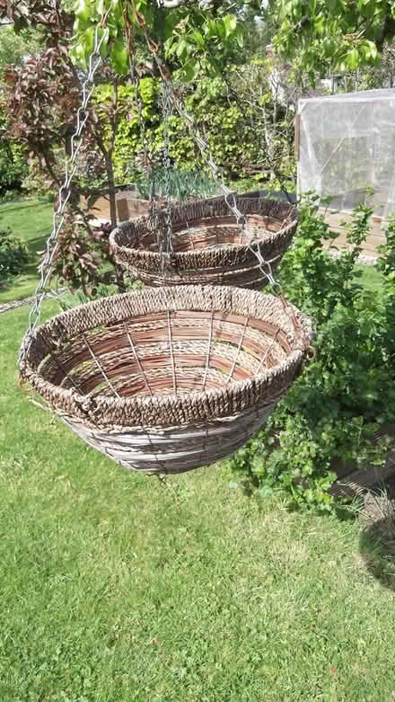 Photo of free Hanging baskets (HR8 Much Marcle) #1