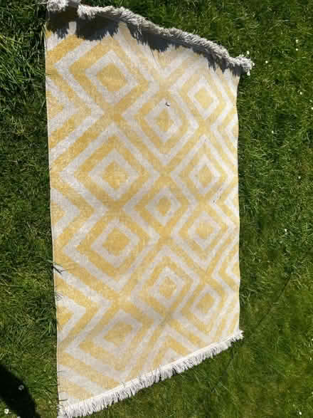 Photo of free Indoor/outdoor rug (BS9) #1