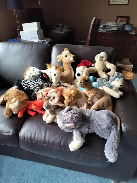 Photo of free Small Stuffed Animals (Near Belmont and Ogden) #1