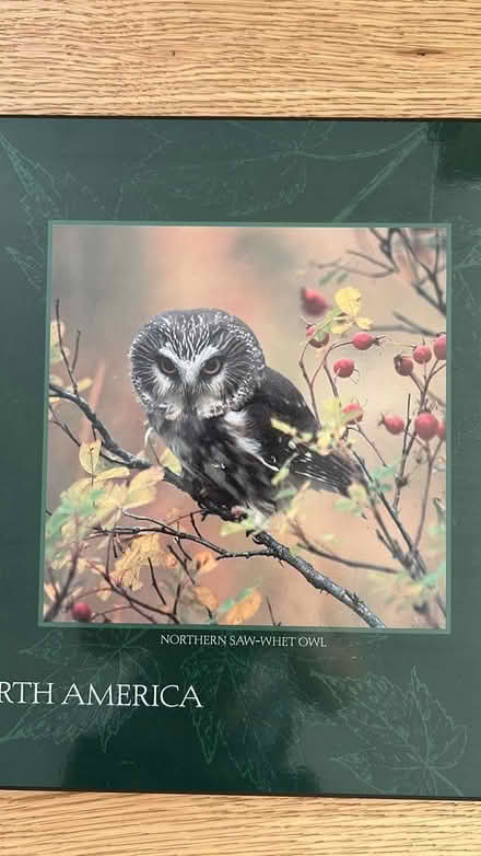 Photo of free Owl wall hanging (Hintonburg) #4