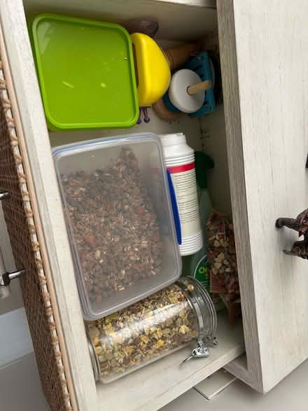 Photo of free Large hamster cage plus accessories (Seer Green HP9) #3