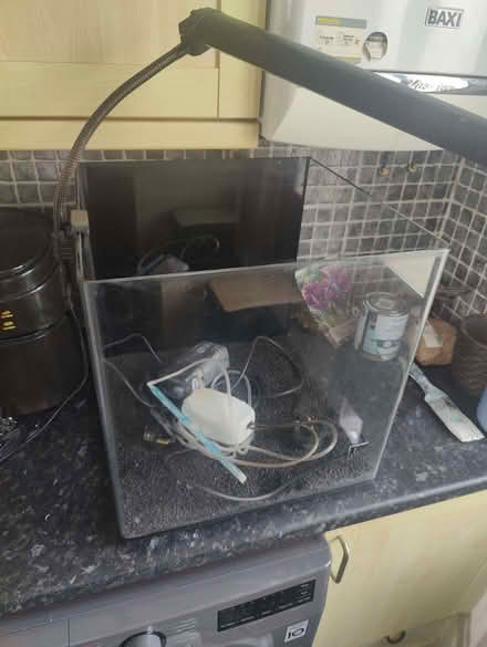 Photo of free 55 Litre Fish Tank & Kit (Riddlesden BD20) #1