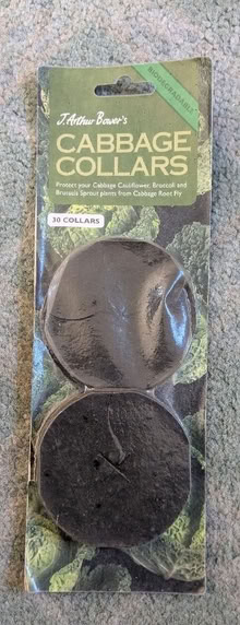 Photo of free Cabbage collars (Caldy Valley CH3) #1