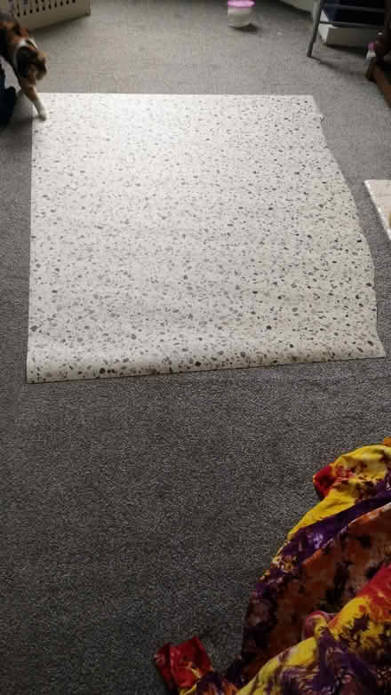 Photo of free Vinyl Flooring offcut (DN21, Gainsborough) #1