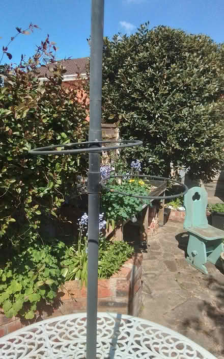 Photo of free Bird Feeding Station (Timperley WA15) #2