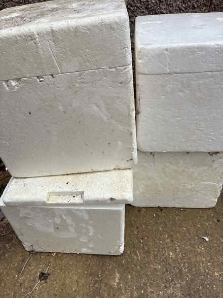 Photo of free Polystyrene boxes (CH49) #1