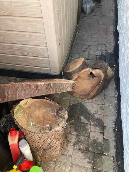 Photo of free wood (Marldon TQ3) #1