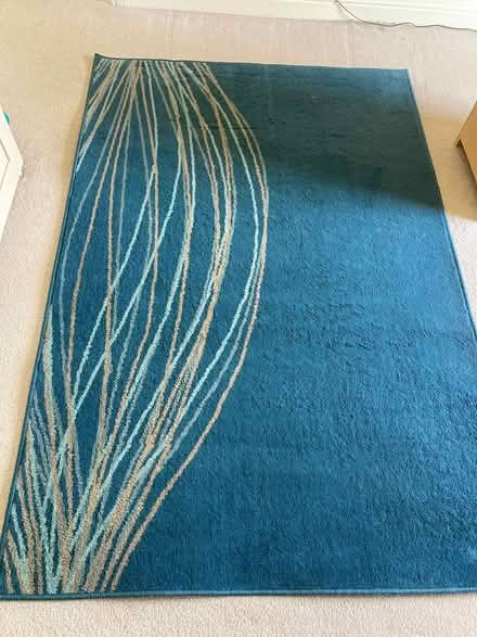 Photo of free IKEA rug (De55 6GW) #1