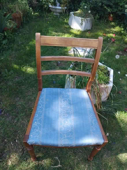 Photo of free Wooden dining chairs x 4 (Popley RG24) #1