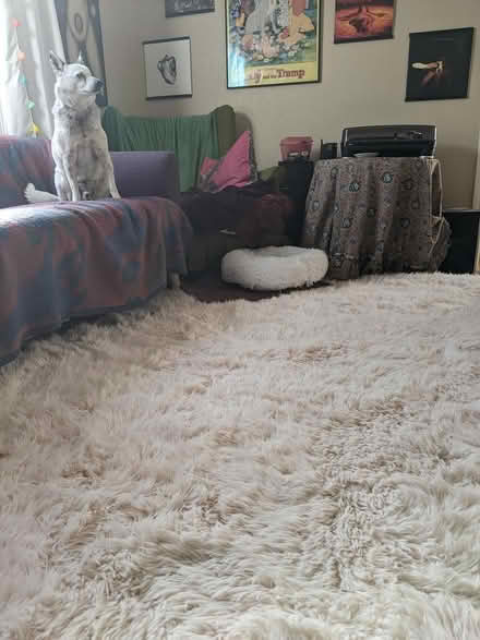 Photo of free Ruggable soft pink shag rug 6'x9' (High St and Santa Rita) #3