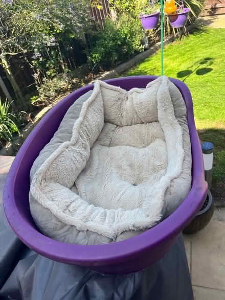 Photo of free Dog bed - medium size plastic dog bed & inside bed (Halstead CO9) #1