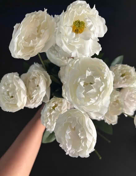 Photo of free Miscellaneous Things (Germantown) #3