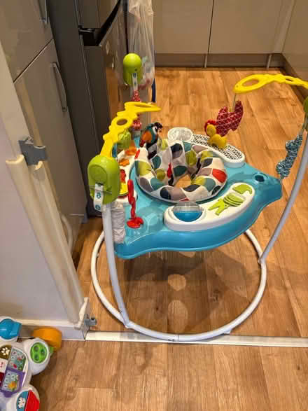 Photo of free Baby bouncer (Ponders End EN3) #2