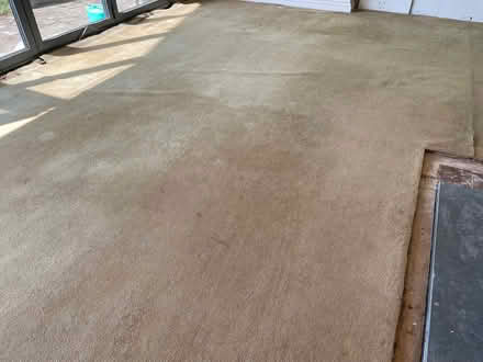 Photo of free Carpet. 7m x 4m. (Bucknell SY7) #4