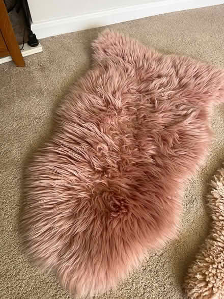 Photo of free Various rugs (Waterlooville) #3