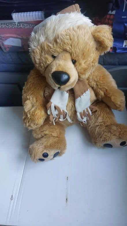 Photo of free Large soft toy (Ruscombe RG10) #1