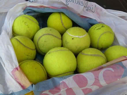 Photo of free 10 x old tennis balls (Kempsey WR5) #1