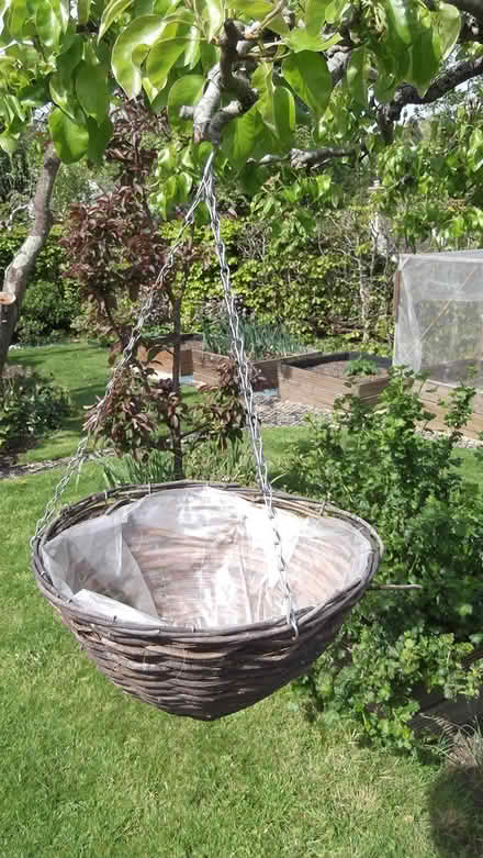 Photo of free Hanging baskets (HR8 Much Marcle) #2