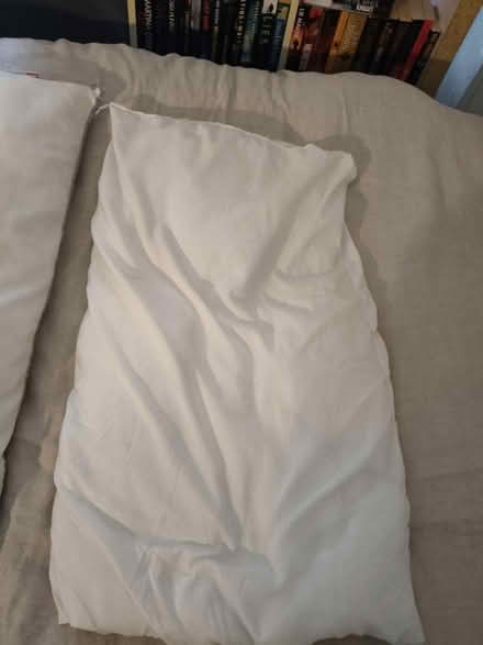 Photo of free Two 70*40 pillows (Richmond TW9) #4