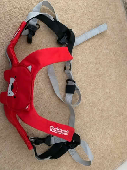 Photo of free Toddler safety belt (Hereford, HR2, Ross road) #1