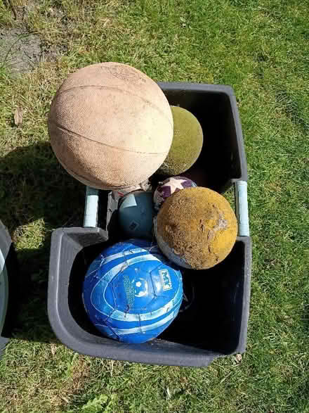 Photo of free Assorted dog balls (Buxted TN22) #1