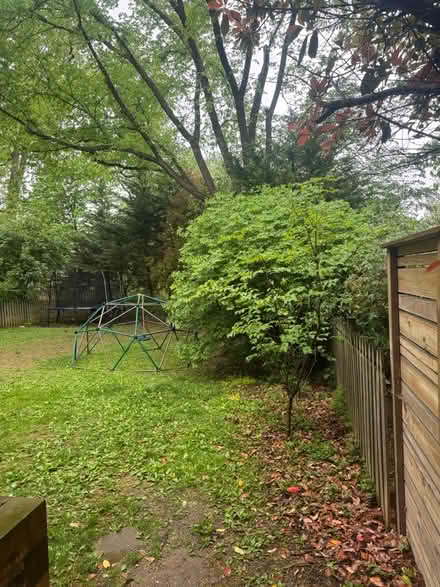 Photo of free Geo dome for kids (Chevy chase DC) #2