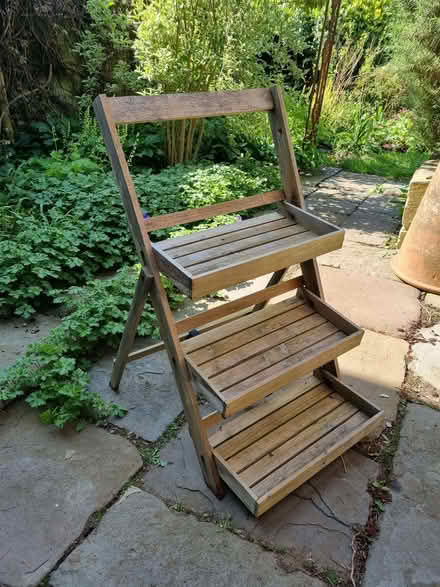 Photo of free Garden Plant Shelves (Odd Down BA2) #1