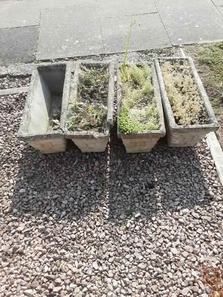 Photo of free Planters (B97 6PA) #3