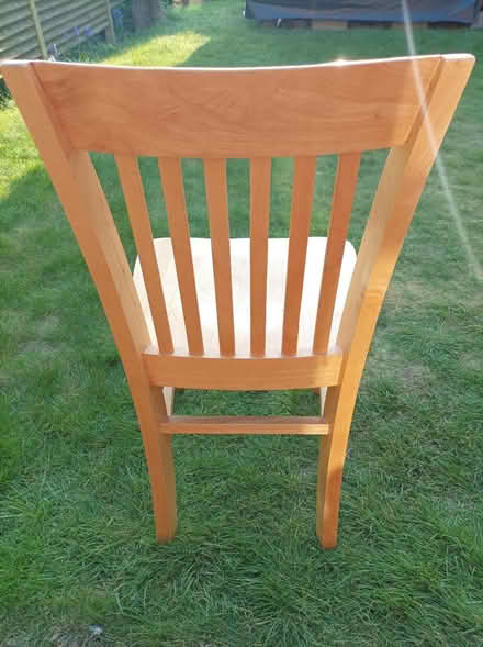 Photo of free 2 basic chairs (BN2) #2