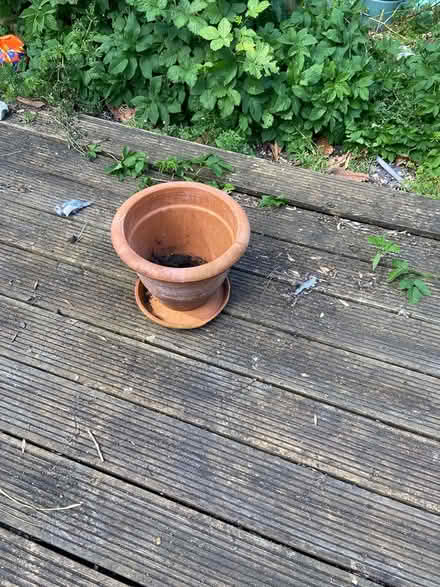 Photo of free Terracotta Pot and Plate (SE153BS) #2