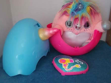 Photo of free Rainbocorn (Ainsdale PR8) #2