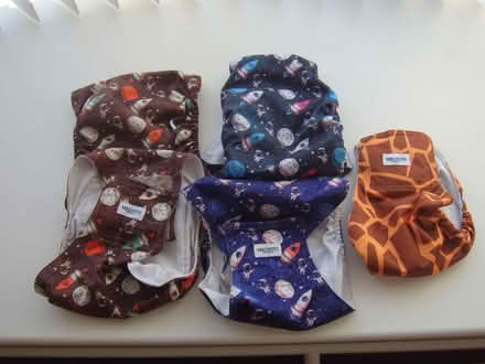 Photo of free 5 dog nappies 4 xl 1 L (Durrington BN13) #1