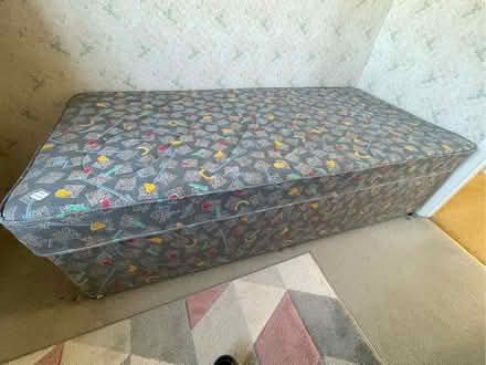 Photo of free Single Bed / Mattress (West Stratton SO21) #1
