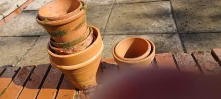 Photo of free Terracotta plant pots (B63 halesowen) #1