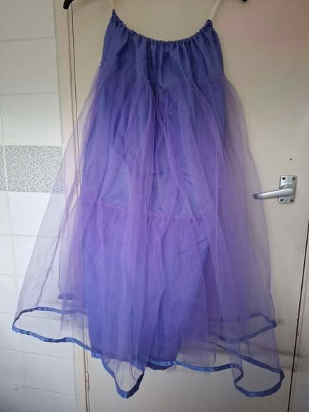 Photo of free Purple dress & petticoat (Emmbrook RG41) #2