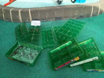 Photo of free Seed trays and plug trays (Hoole Village CH2) #1