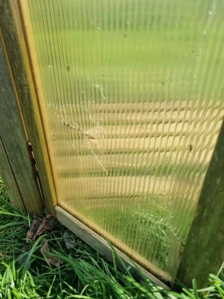 Photo of free Cold frame (Odd Down BA2) #3