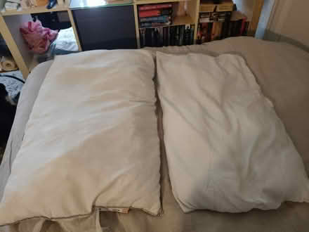 Photo of free Two 70*40 pillows (Richmond TW9) #1