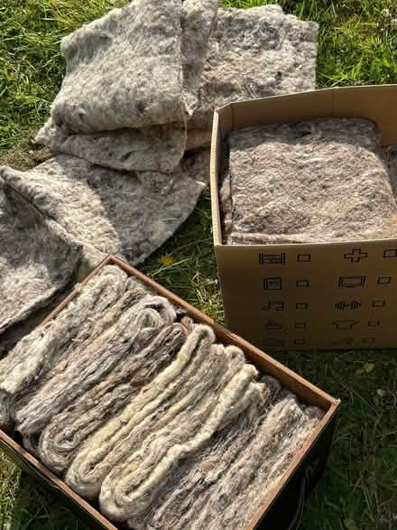 Photo of free Sheets of Sheep wool for (Ashford Village, Wicklow) #1