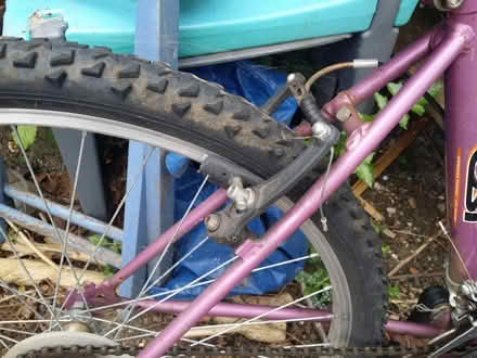 Photo of free Bicycle (Huntingdon PE29) #4