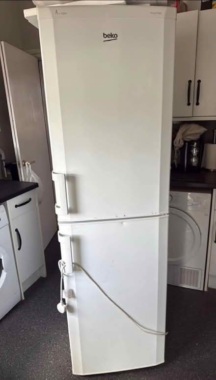 Photo of free Fridge freezer (Catford South SE6) #1