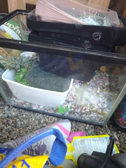 Photo of free 2 small fish tanks (Tulloch PH1) #3