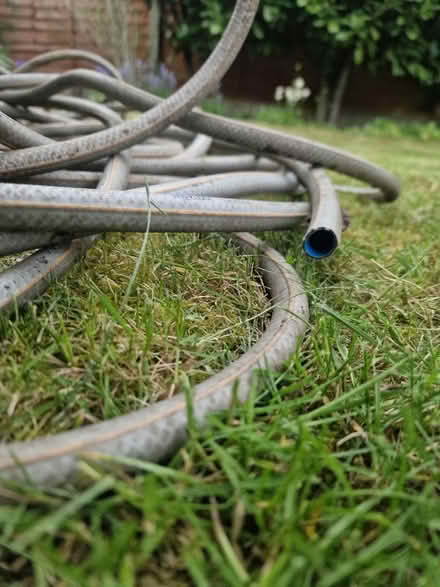 Photo of free Garden Hose Pipe (WF4) #1