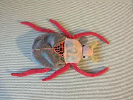 Photo of free Scarab Beetle Plushie (Beulah Hill SE19) #1