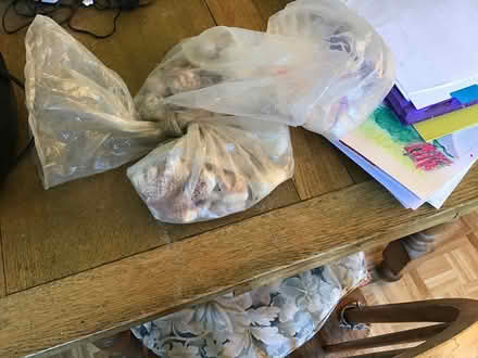 Photo of free Coral and seashells (Selston NG16) #1