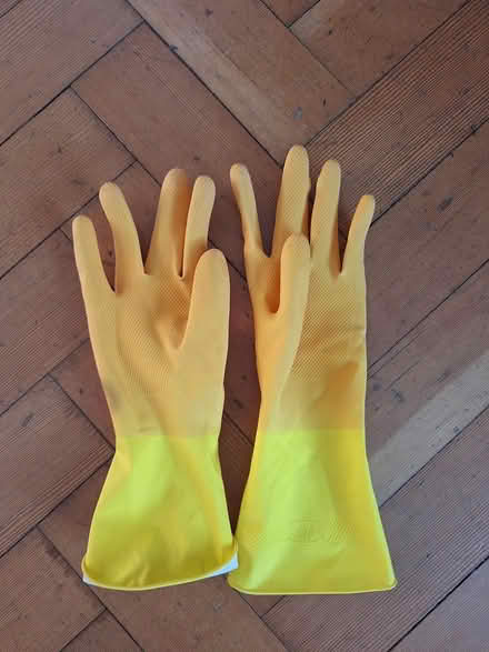Photo of free small rubber gloves (Florence Park OX4) #1