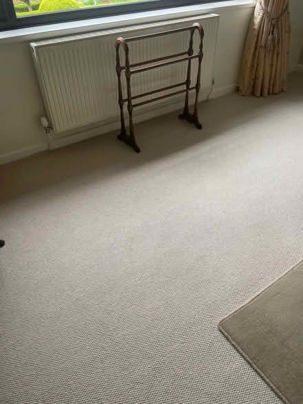 Photo of free Cream wool carpet (Walton-le-Dale PR5) #1